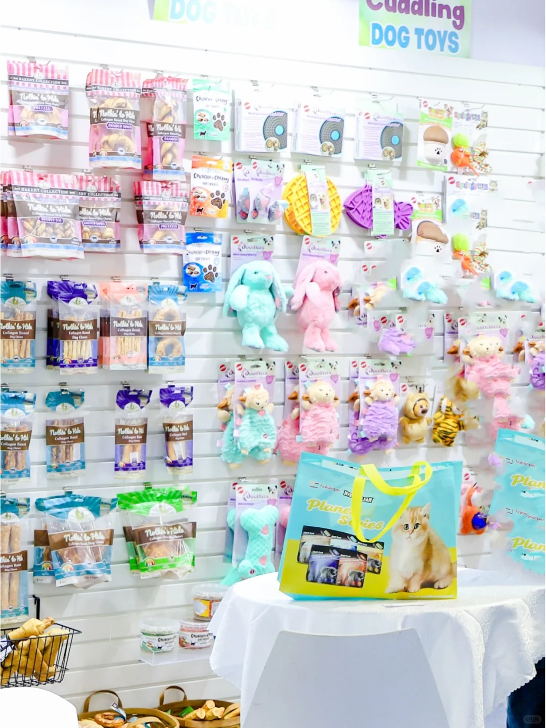 2025日本宠物展 | 开拓海外萌宠市场契机