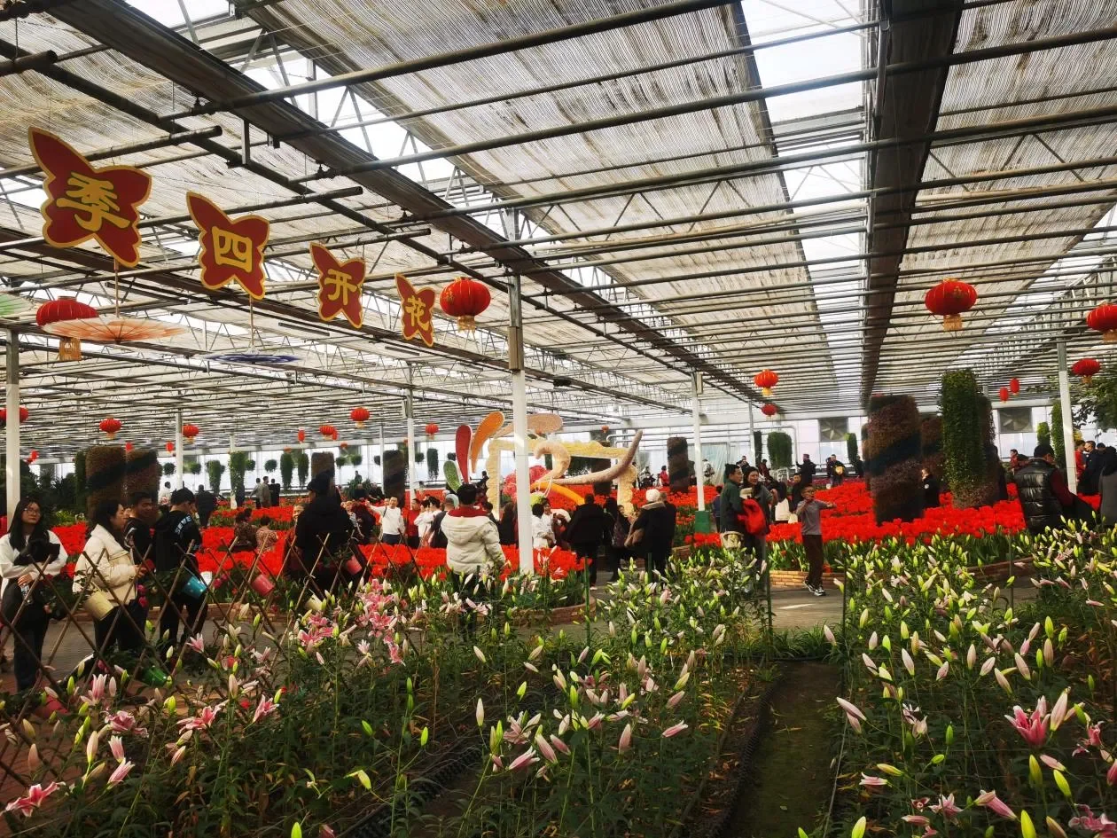 1月16日吉林（长春）冬季农业博览会华丽启幕