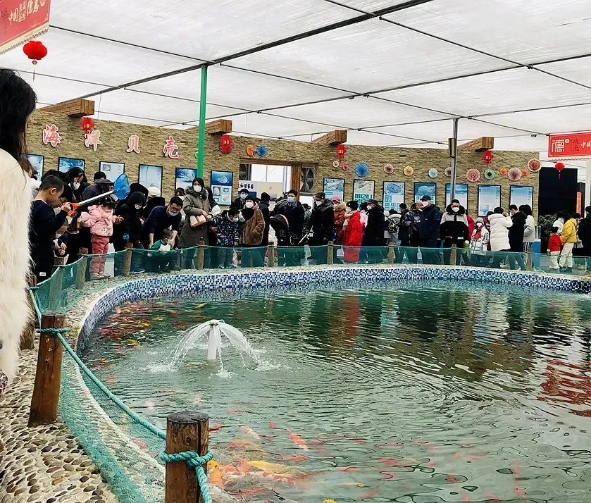 1月16日吉林（长春）冬季农业博览会华丽启幕