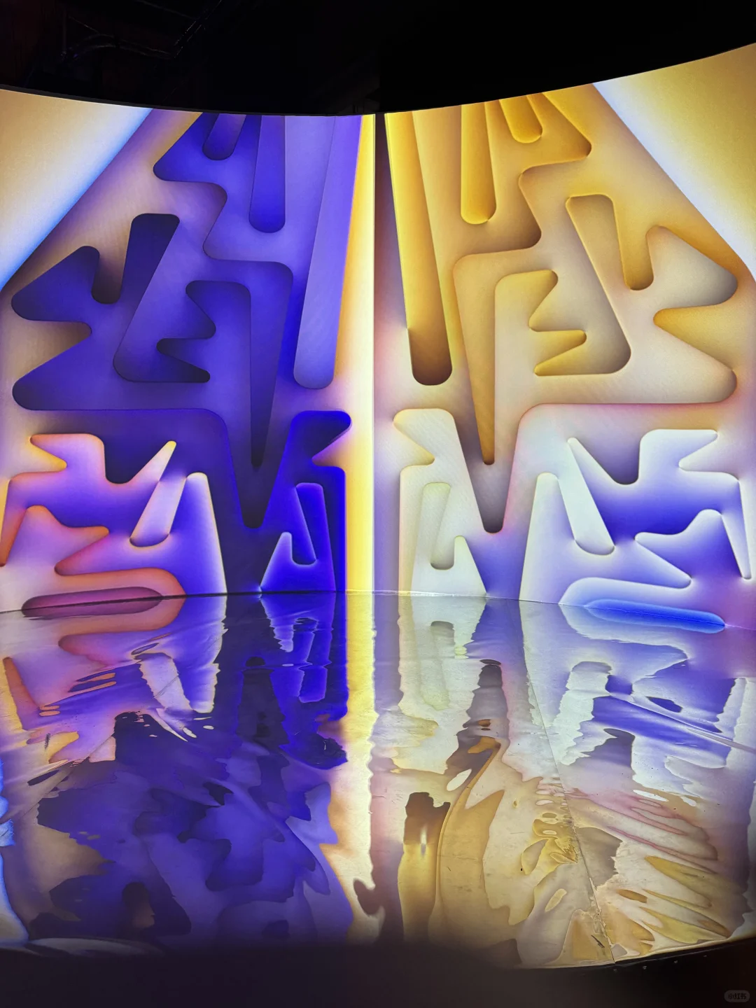 深圳新展｜我进入了四维世界❗️震撼住了✔️