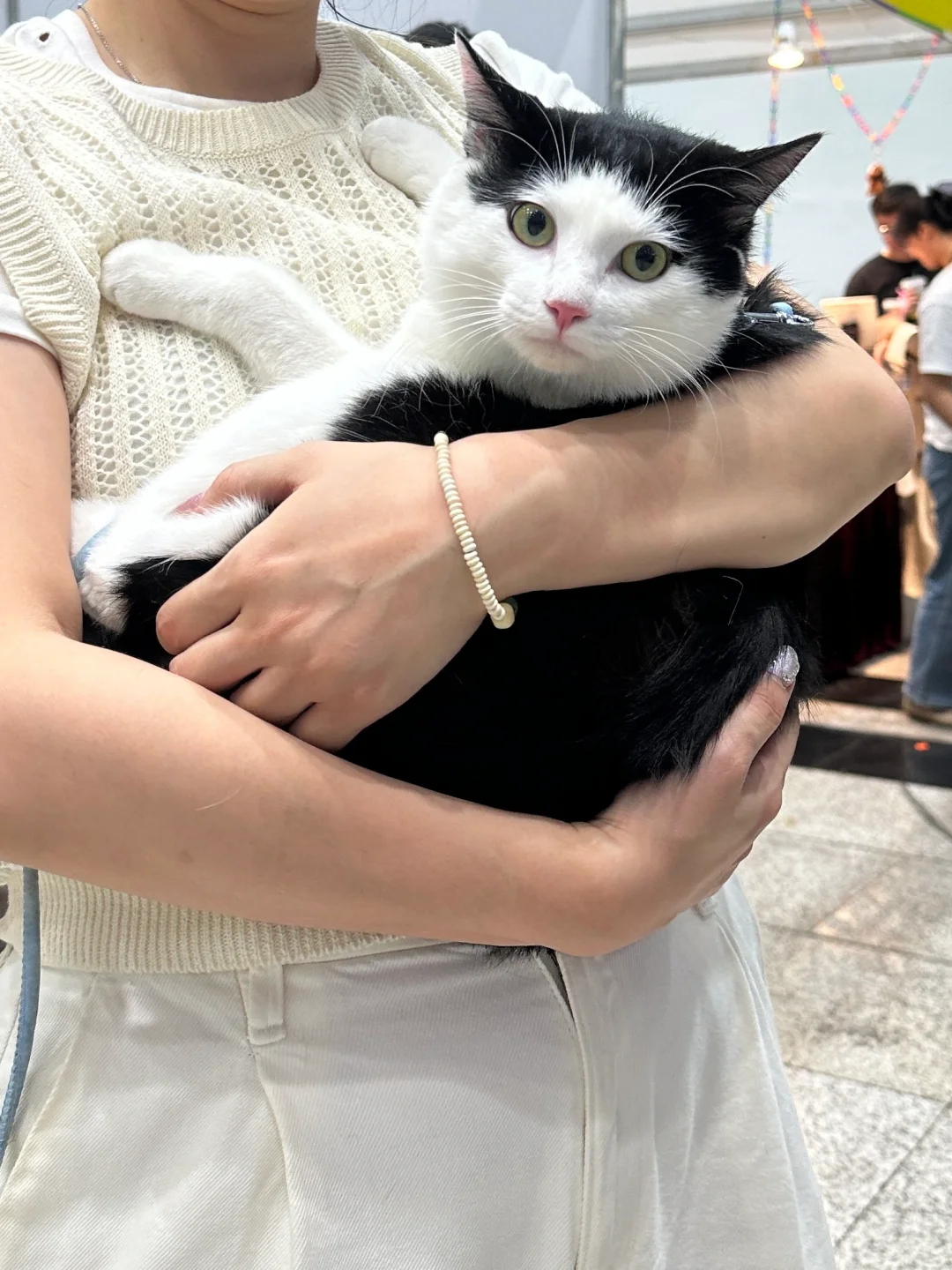 武汉华中宠物博览会 避雷。。。?