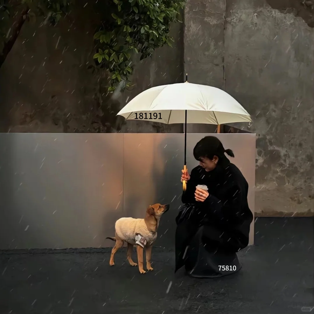 新疆新能源新材料与关联产业博览会！