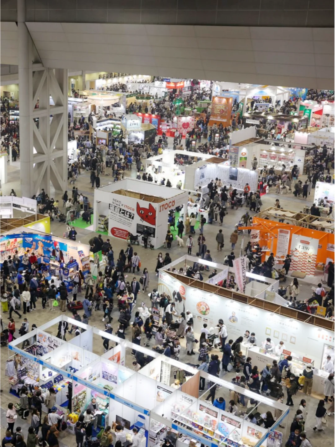 2025日本宠物展 | 开拓海外萌宠市场契机