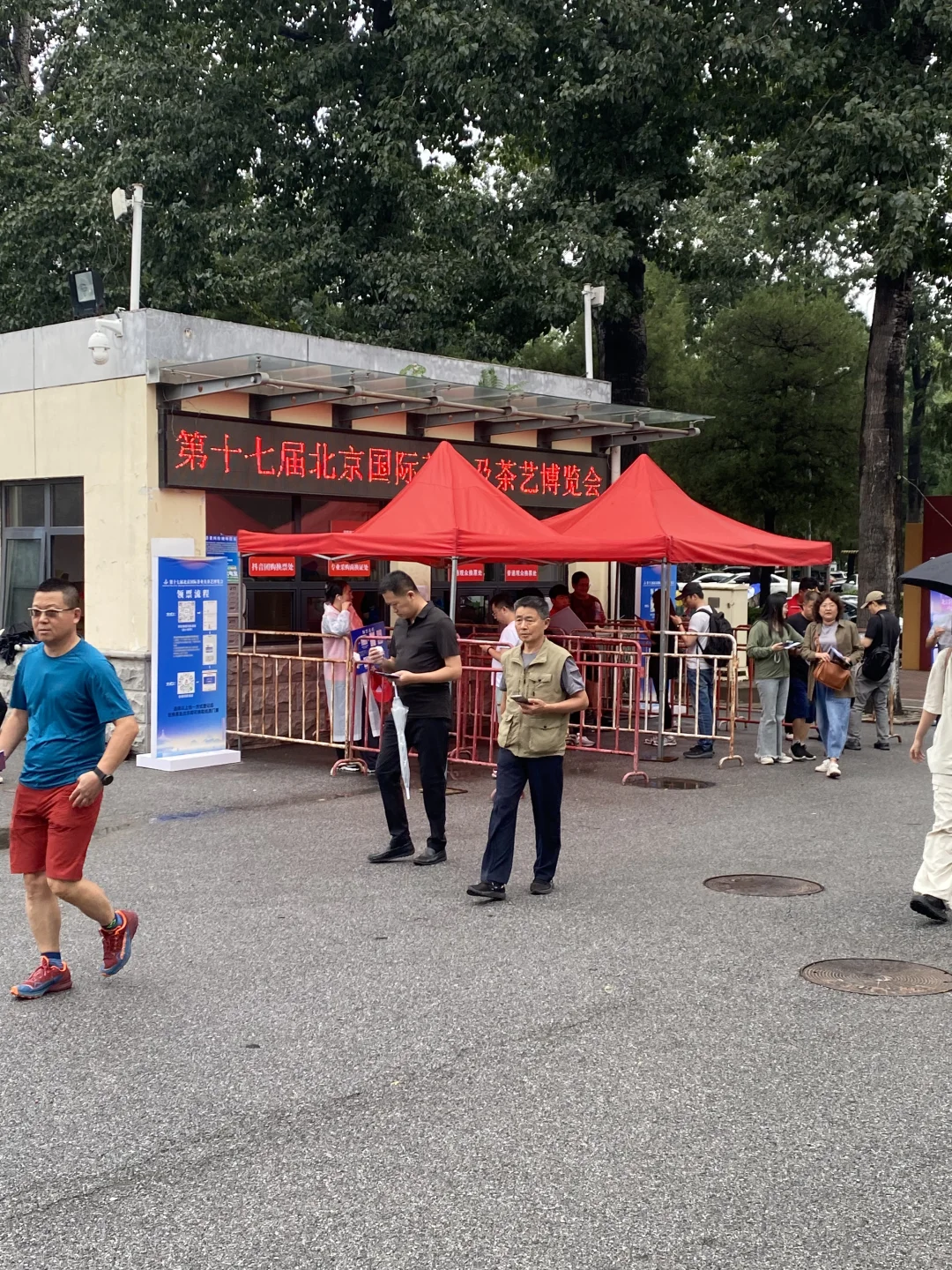 茶叶博览会还是别来了