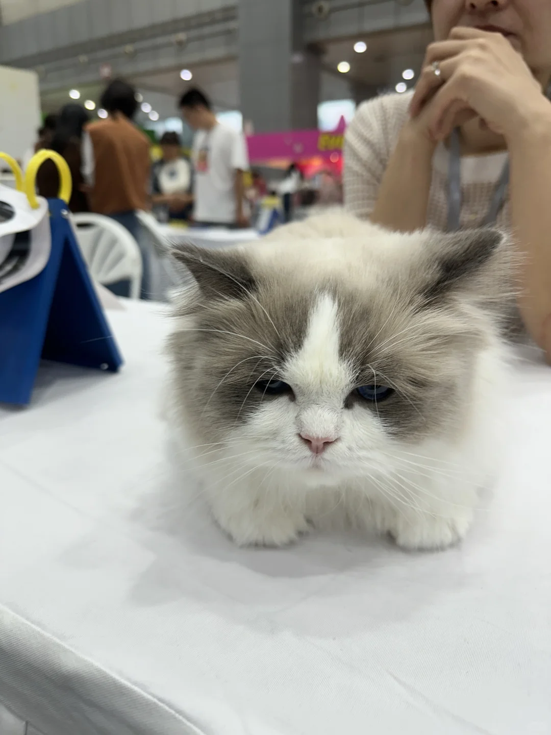 武汉华中宠物博览会 避雷。。。?