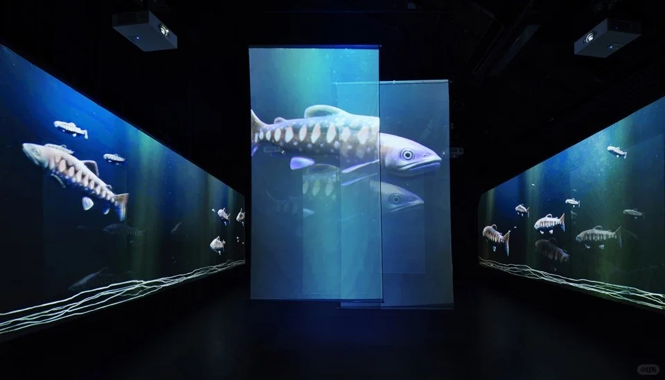 台中“在台中看见半个地球”发现馆 台中“在