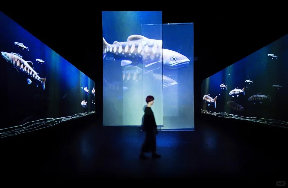 台中“在台中看见半个地球”发现馆 台中“在