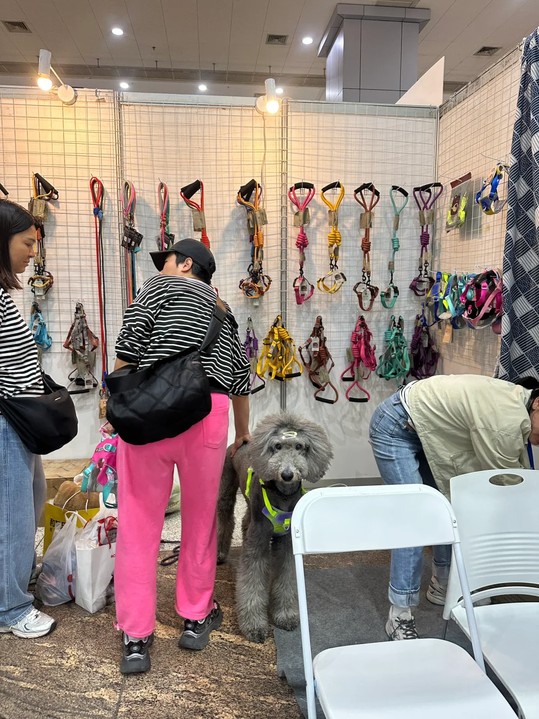 武汉华中宠物博览会 避雷。。。?