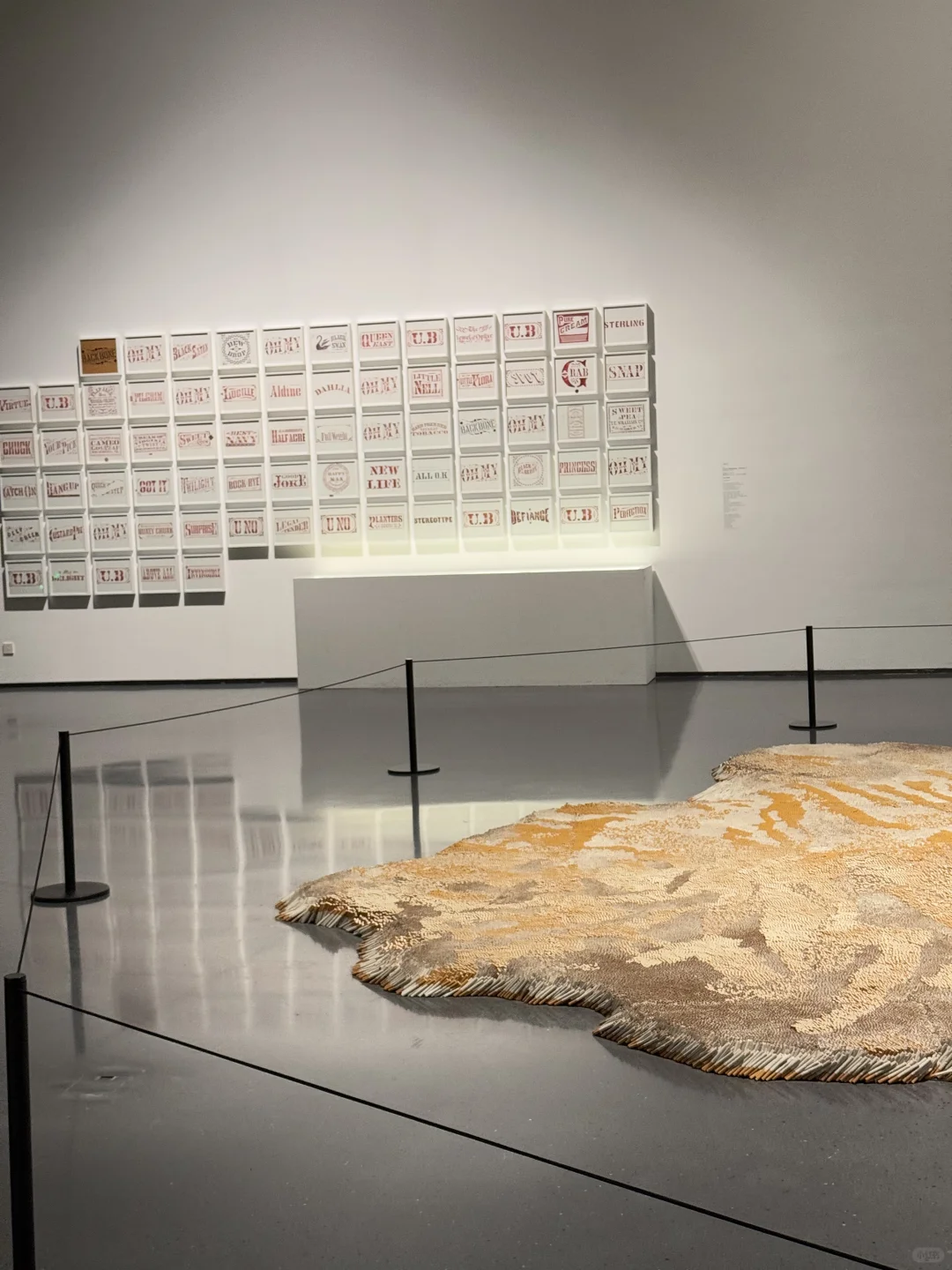 成都天府艺术馆……几十万只烟的展…….好震撼