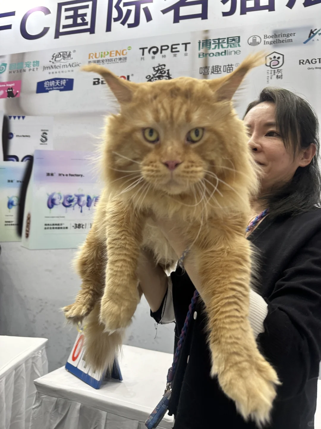 武汉华中宠物博览会 避雷。。。?