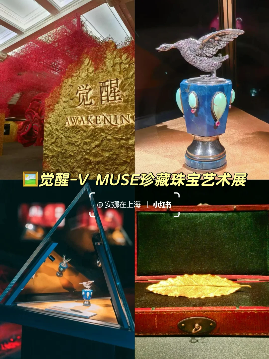 上海1月看展?️值得看的新展合集✅收藏码住