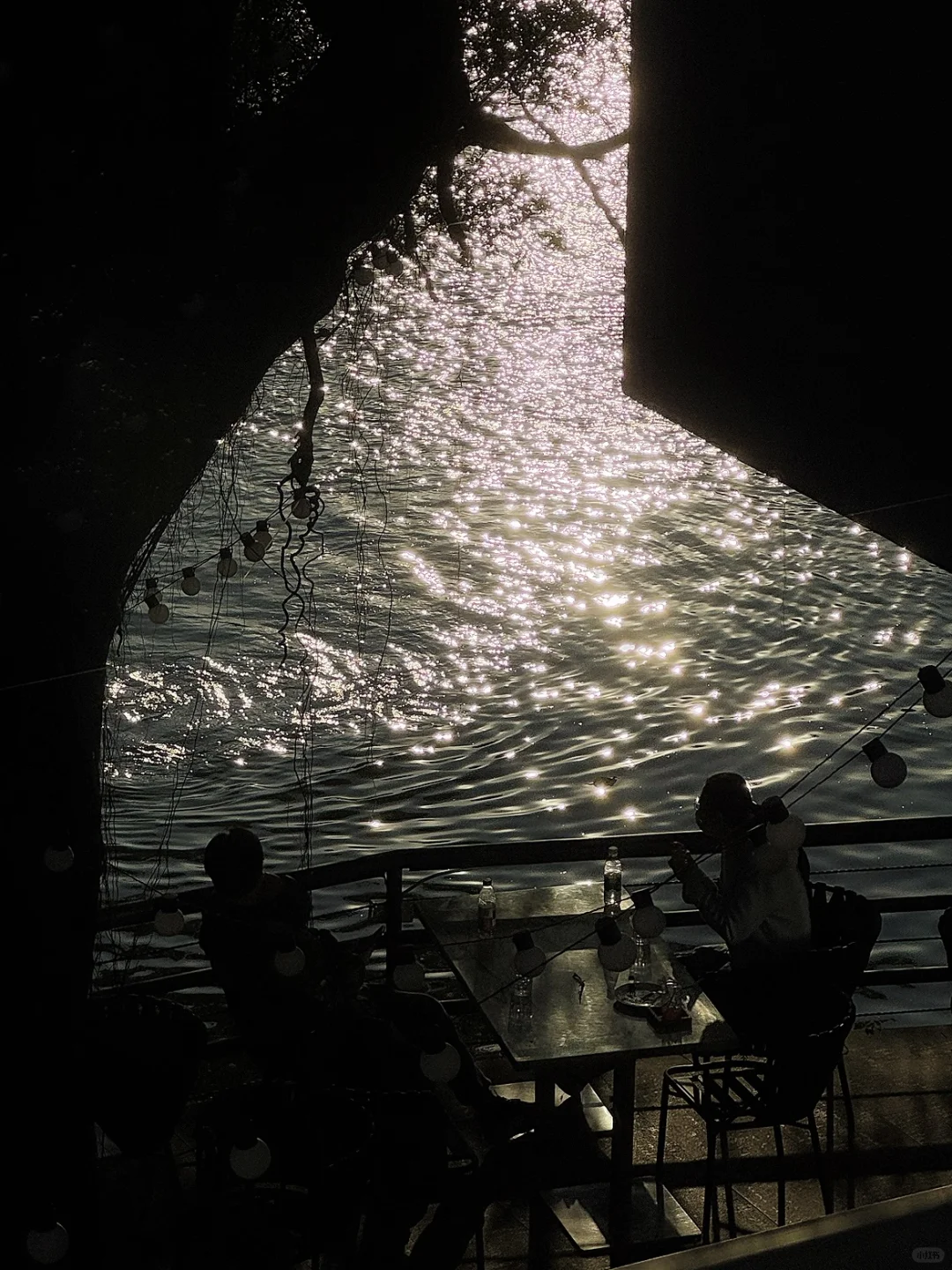 广州?新展｜可爱晕!! 和小猫一起迎新年??