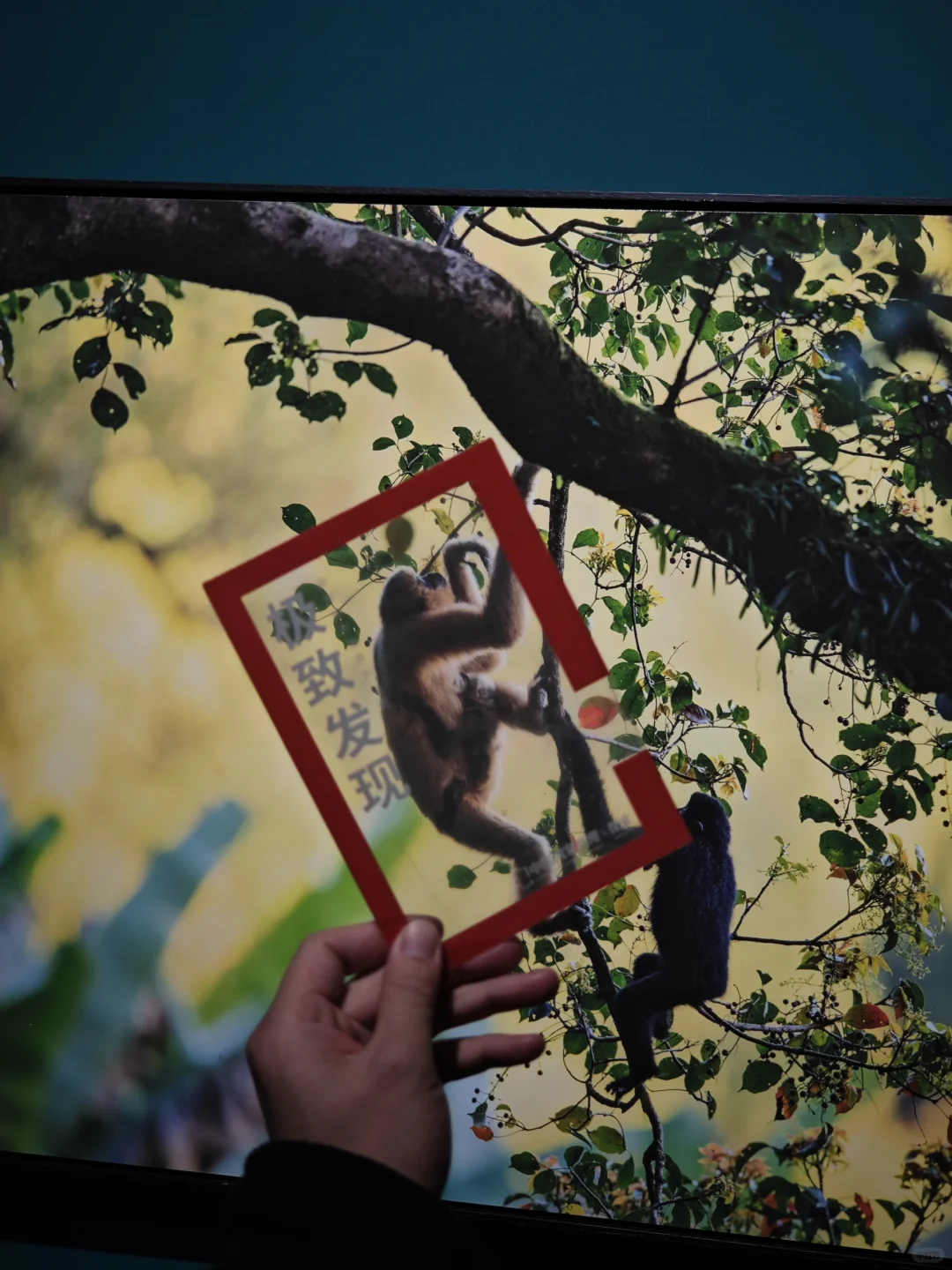 福州新展！拍到了山川、湖泊和星空，超出片