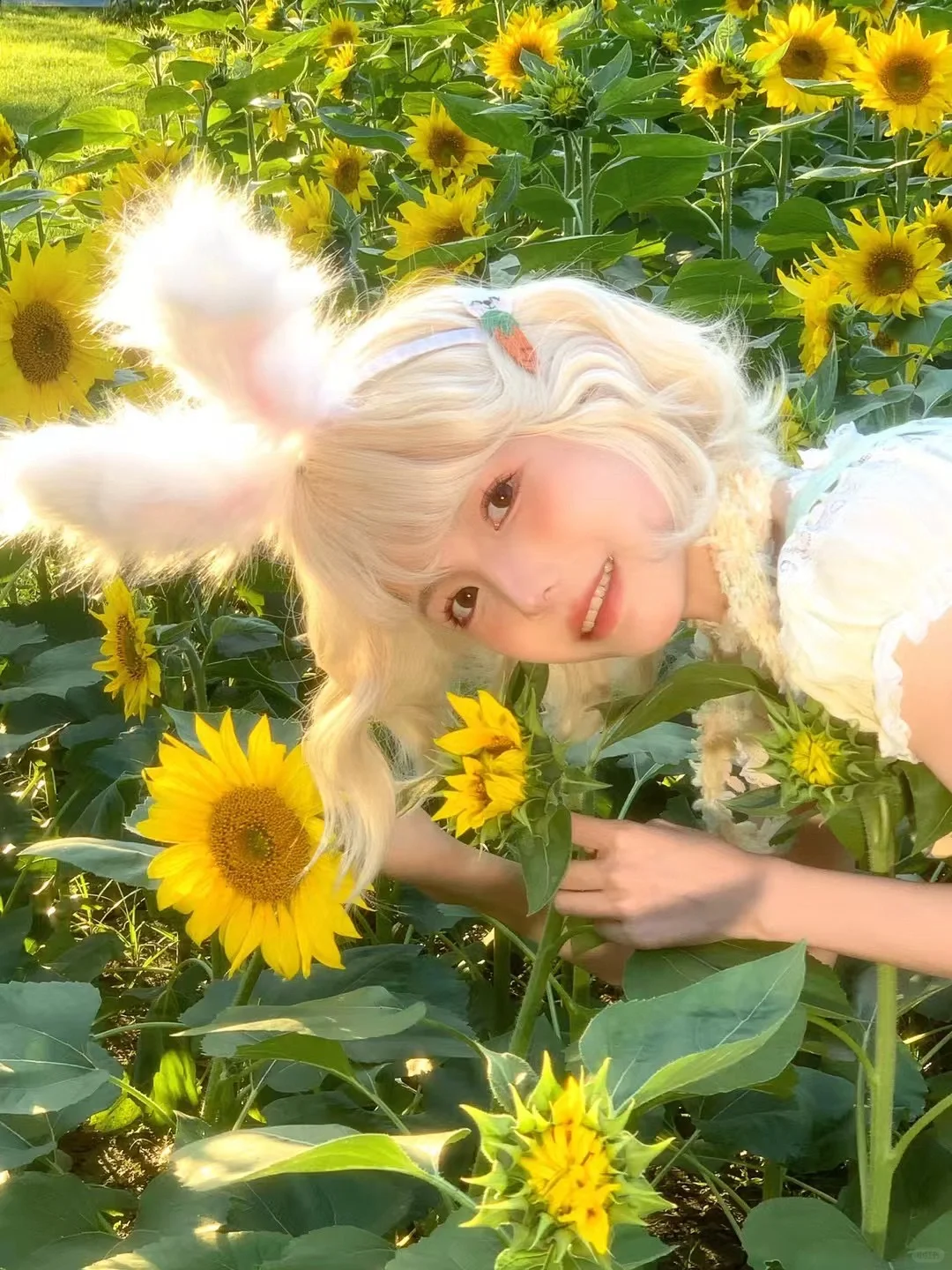 申请参加金陵青年文化博览会自由行！