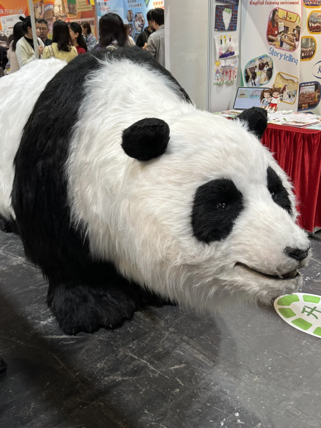 刚从香港教育展回来，讲两句心里话…