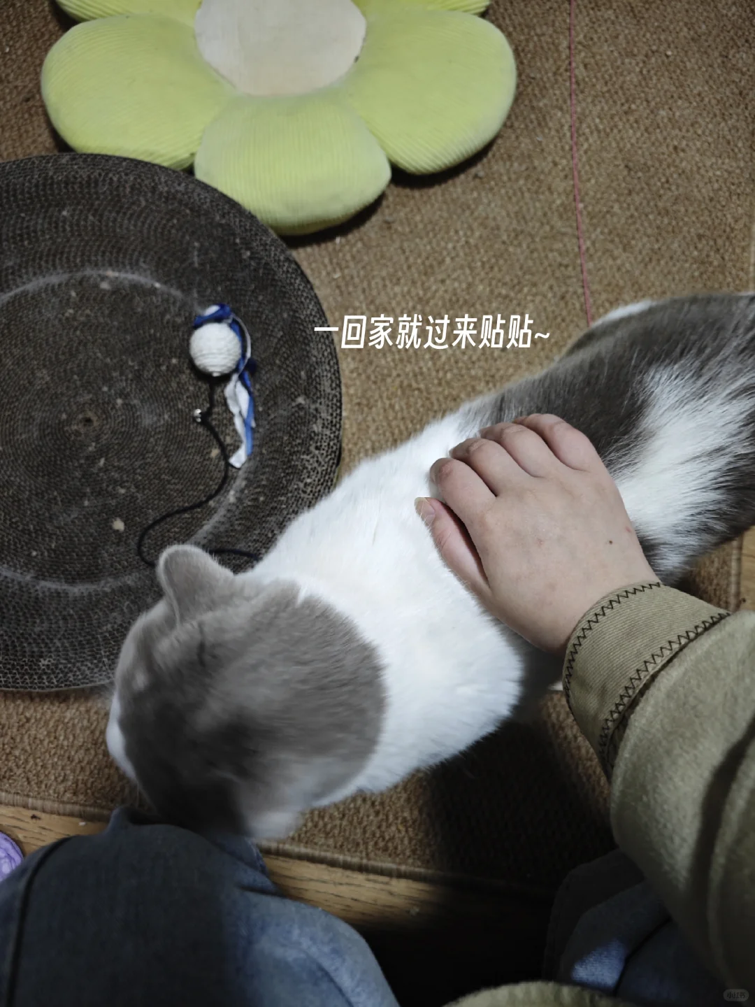 深圳兼职体验（18）| 展会礼仪协助