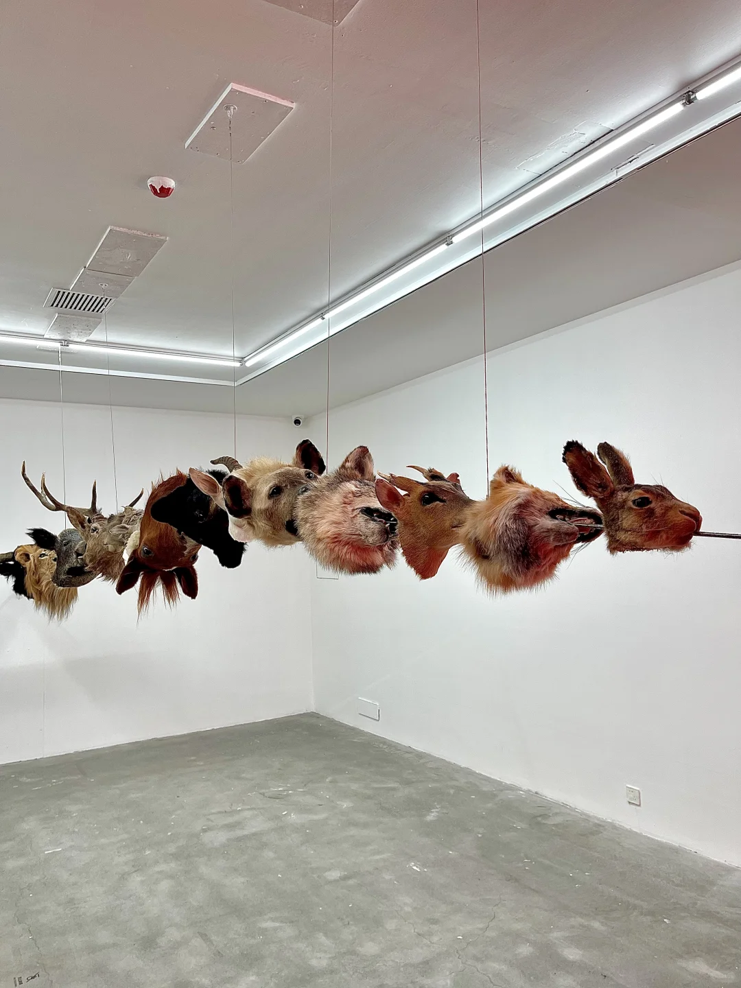 ✅北京2025年1?️高质量艺术展合集