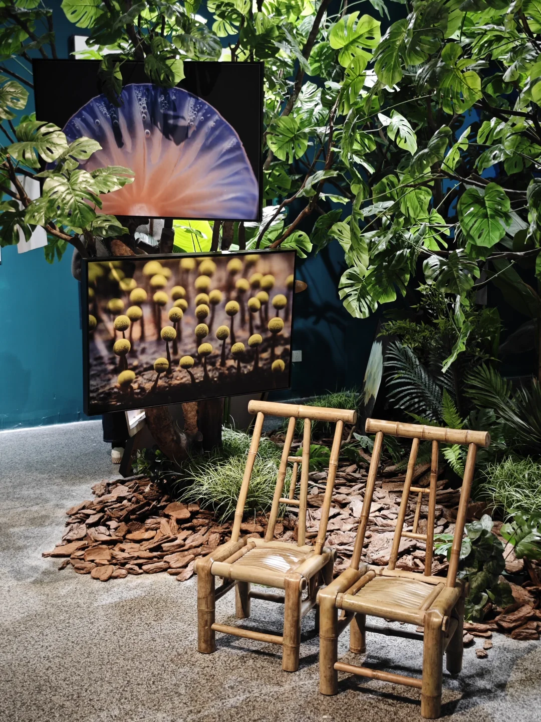 福州新展！拍到了山川、湖泊和星空，超出片