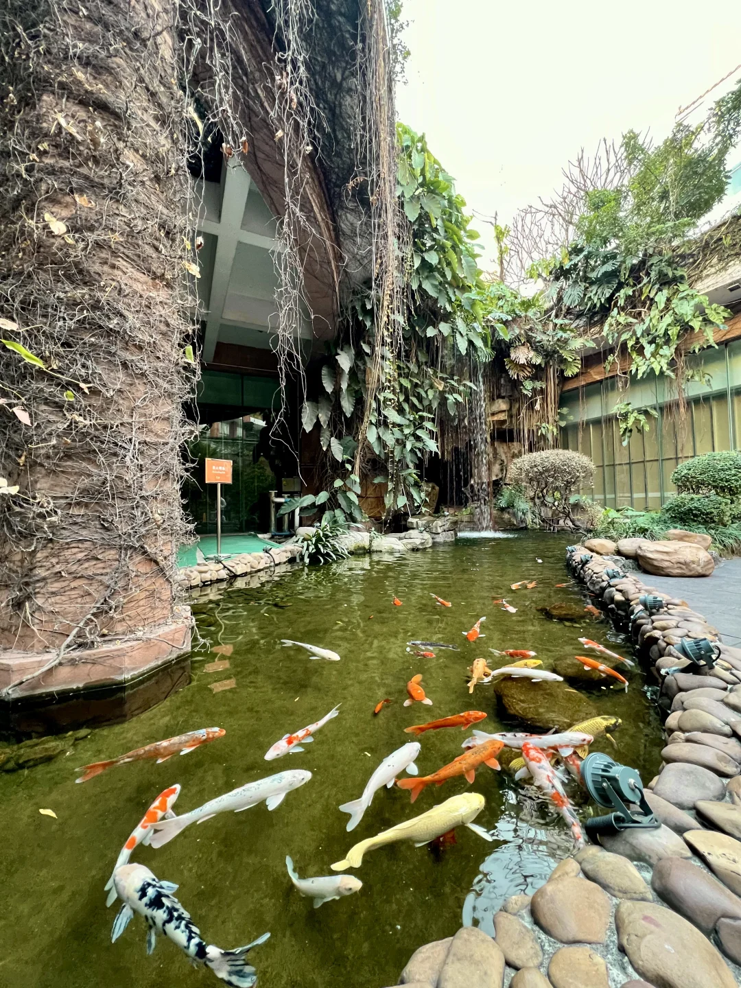 广州0️⃣元看展?打卡童年｜人民艺术中心攻略