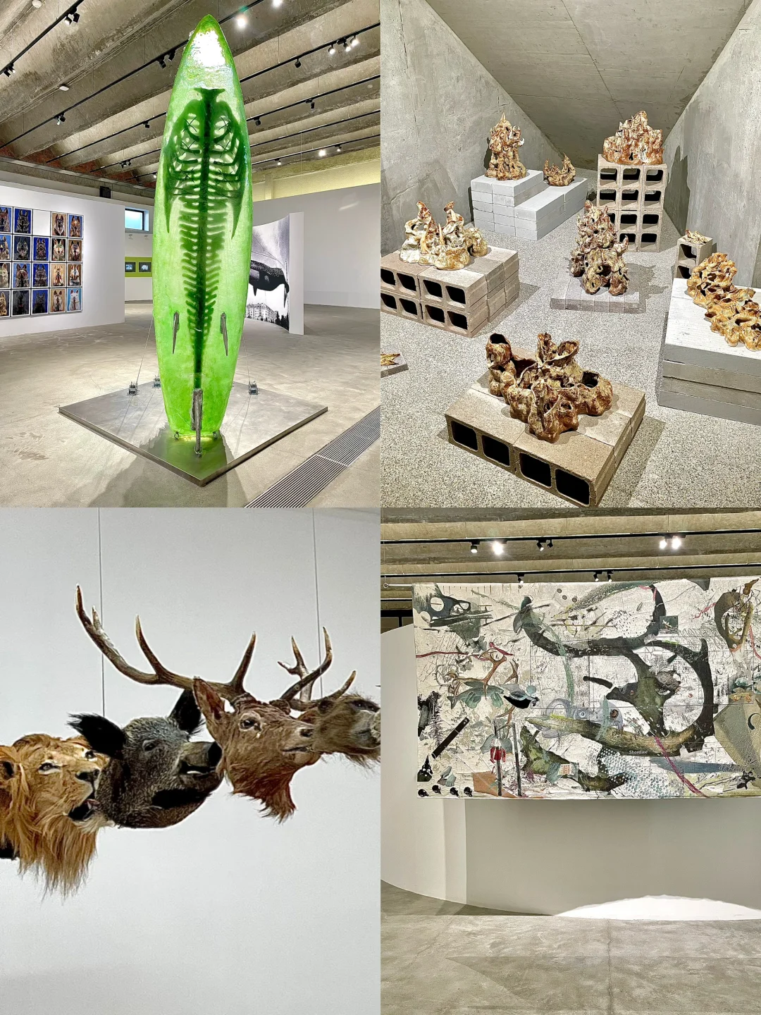 ✅北京2025年1?️高质量艺术展合集