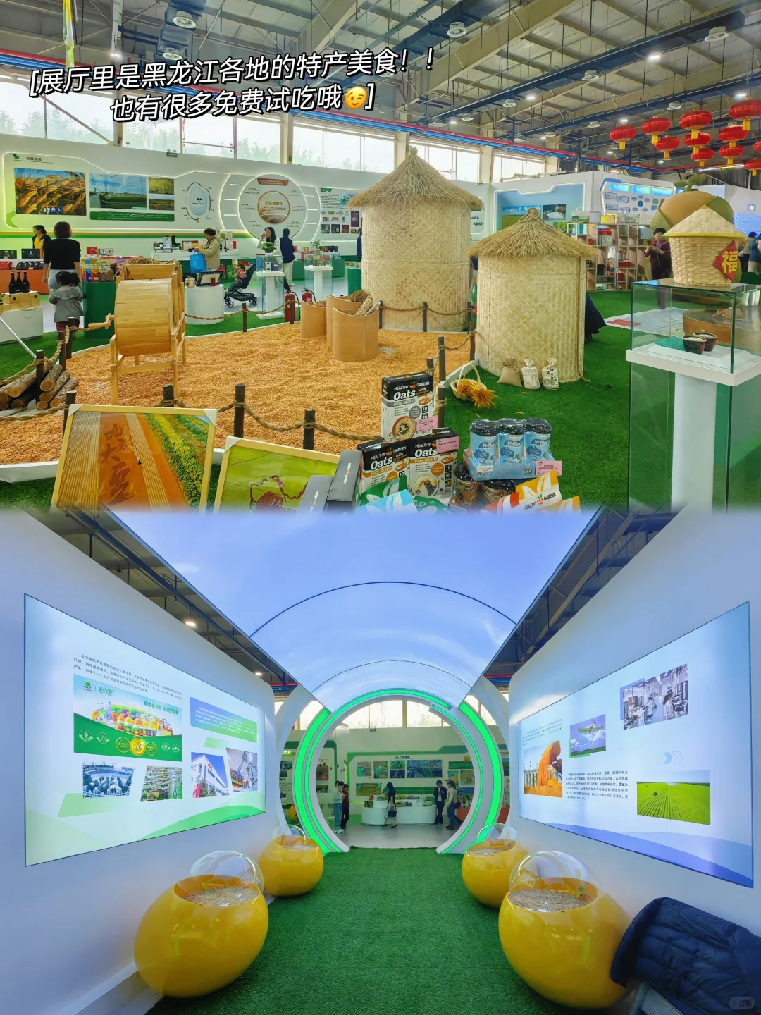 中俄博览会|这些要注意的你知道吗！！?