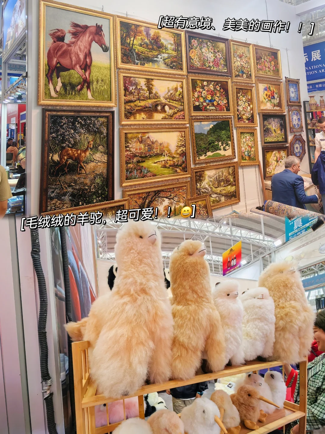 中俄博览会|这些要注意的你知道吗！！?