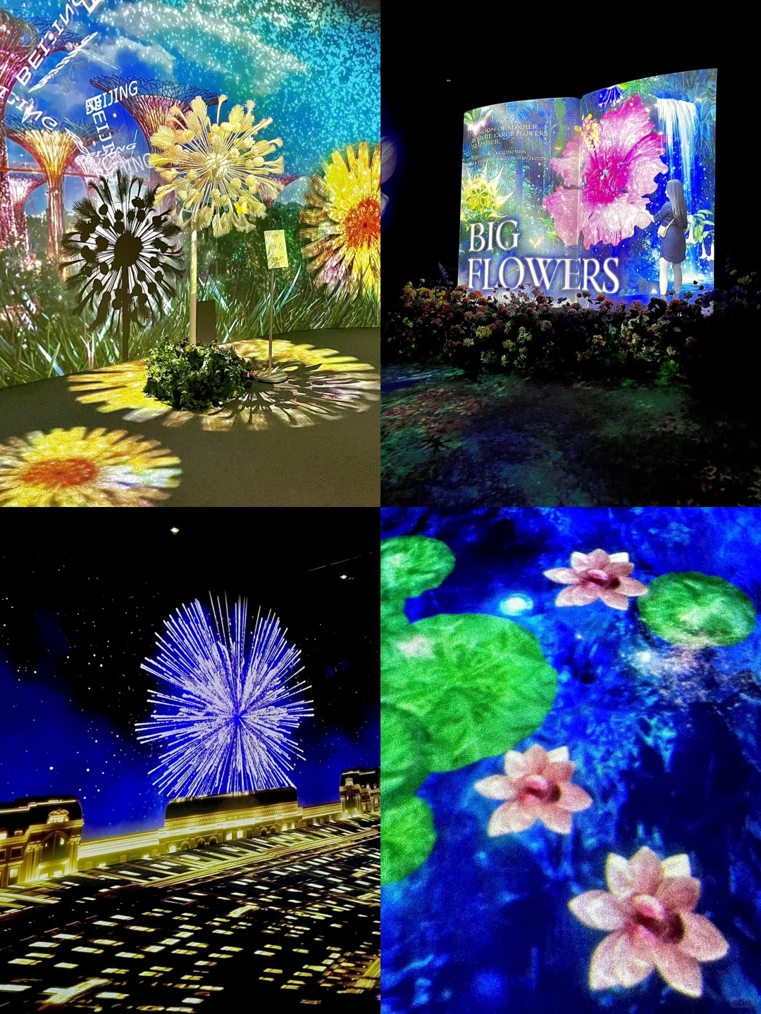 ✅北京2025年1?️高质量艺术展合集