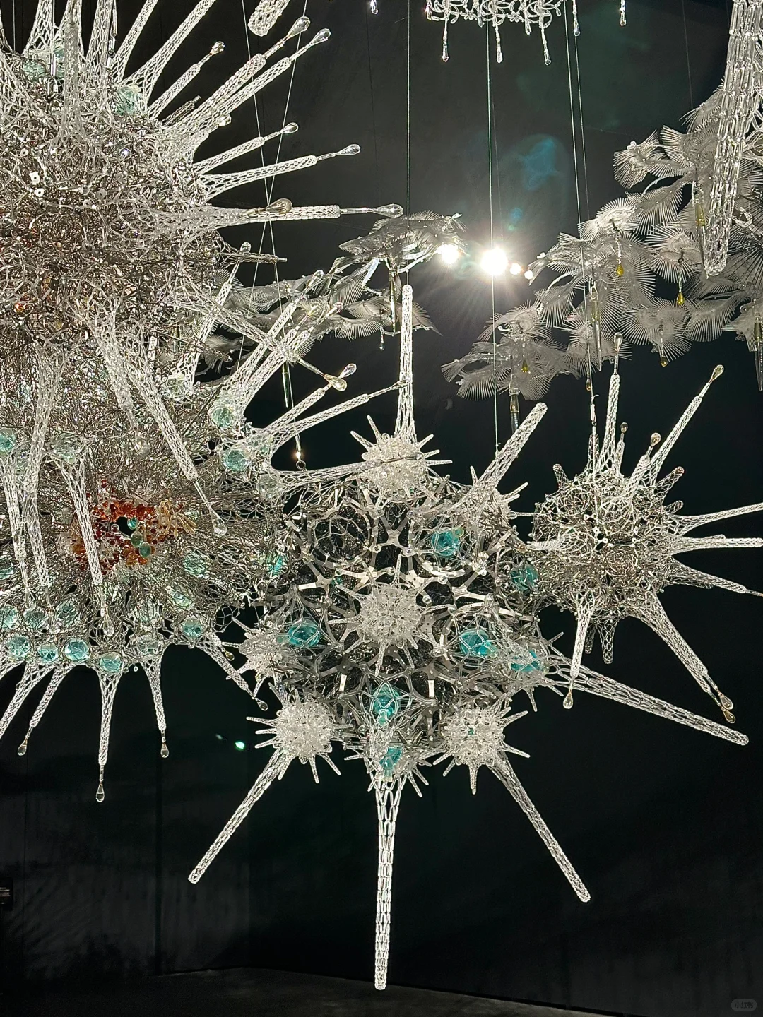 ??‍?❄迎接我的2025第❶展˚??️☃︎