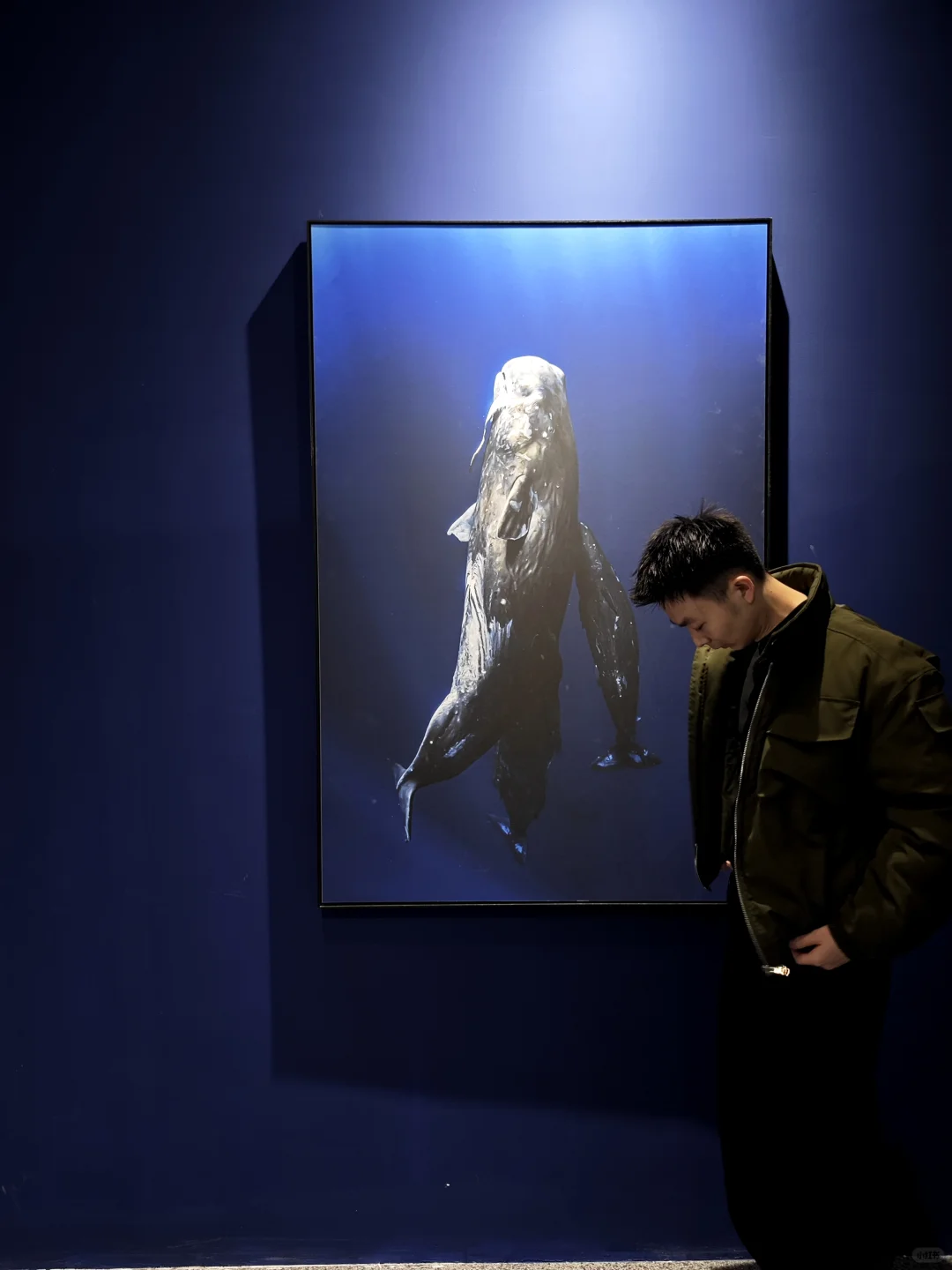 福州新展！拍到了山川、湖泊和星空，超出片