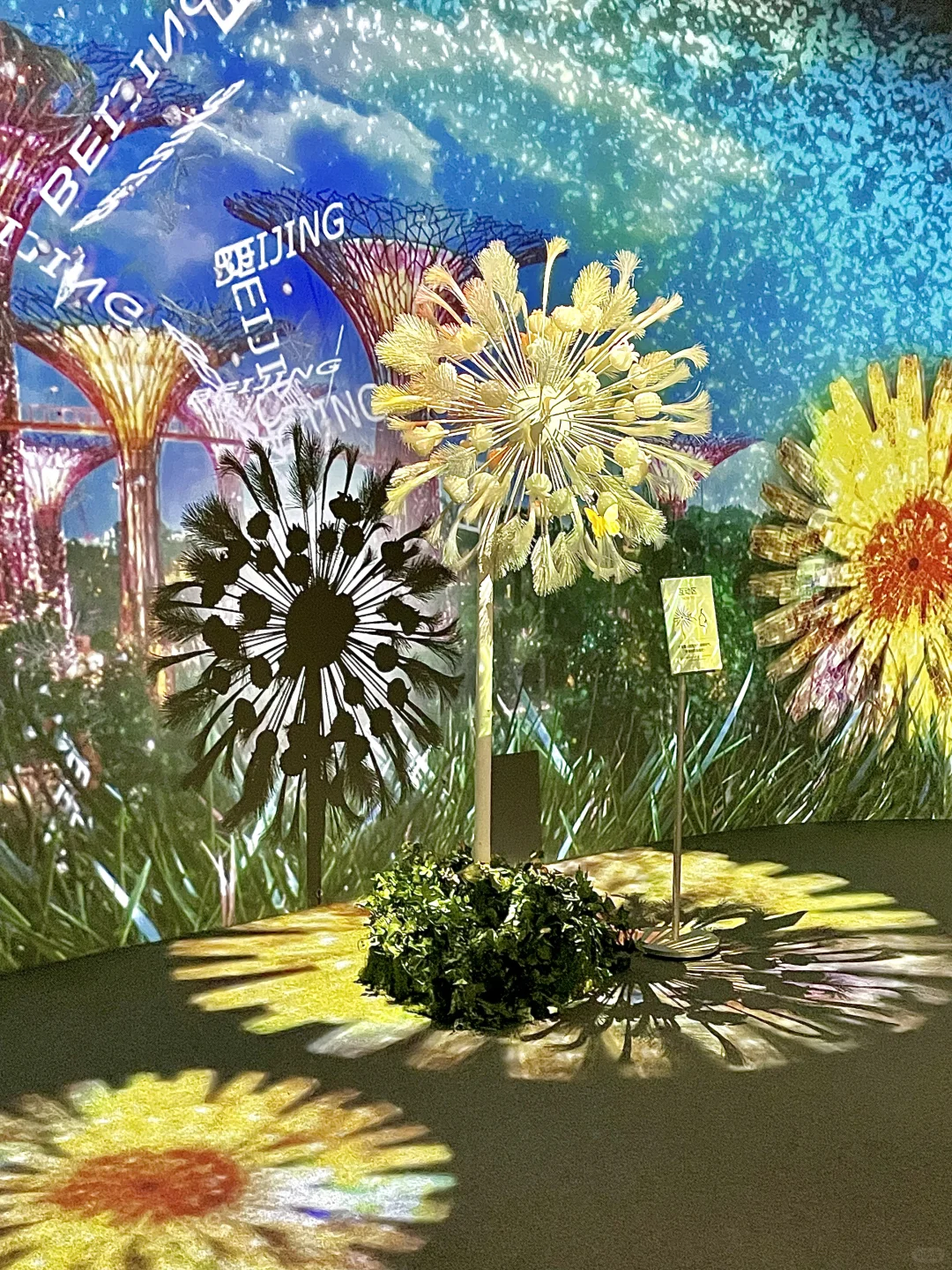 ✅北京2025年1?️高质量艺术展合集