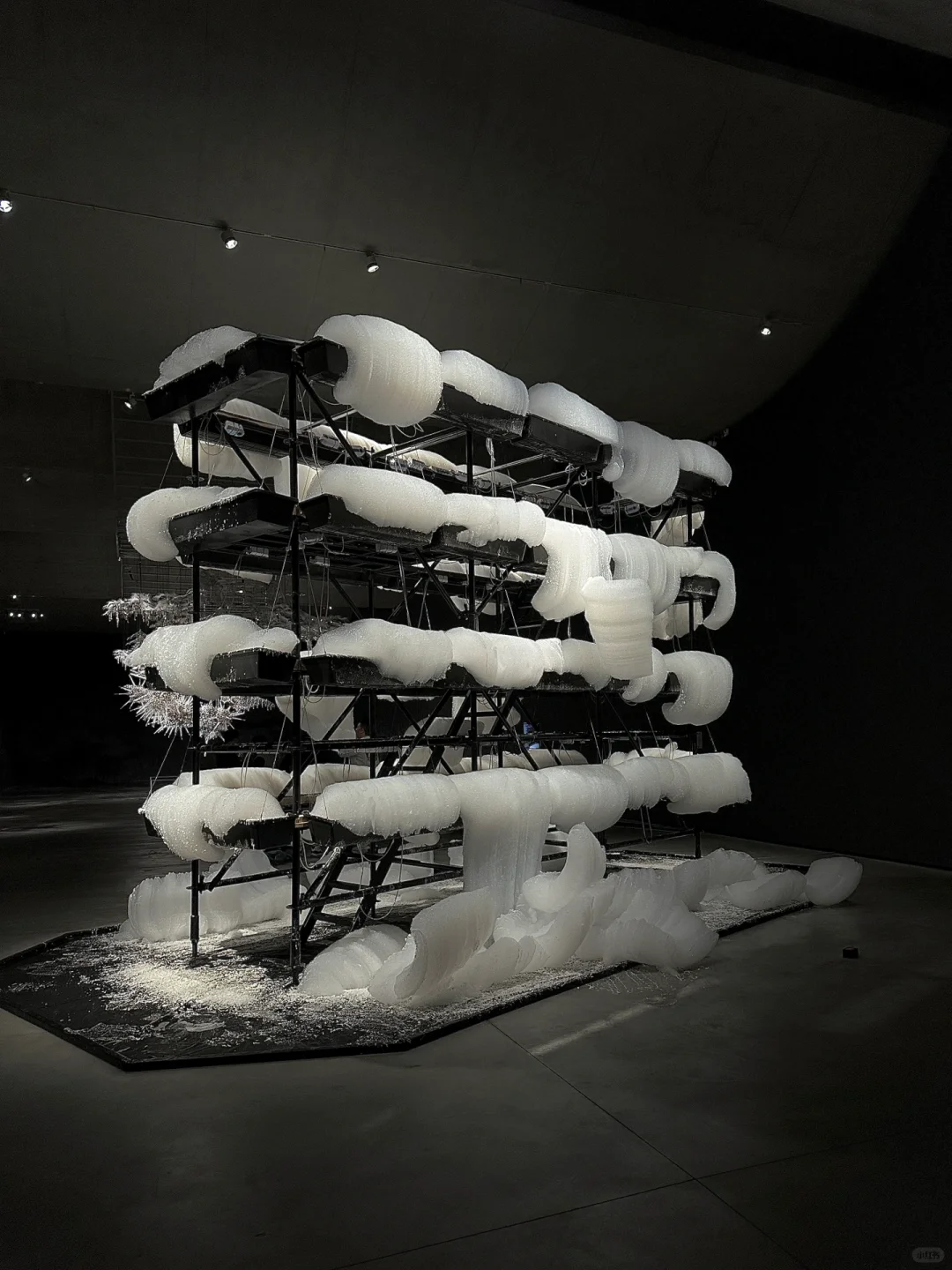 ??‍?❄迎接我的2025第❶展˚??️☃︎