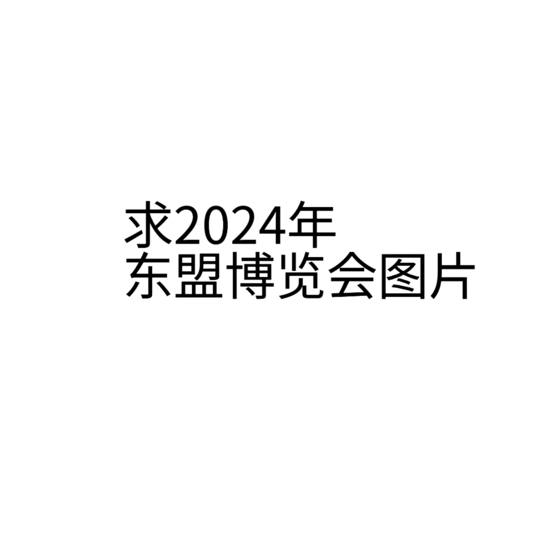 求2024年东盟博览会照片