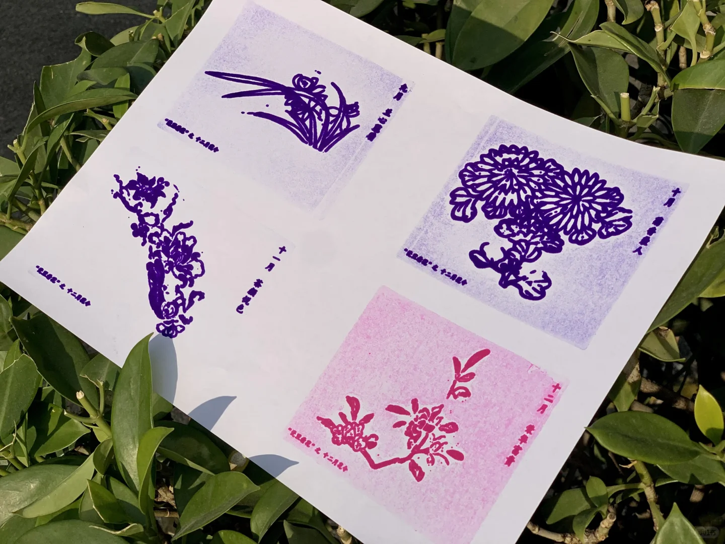 东莞最近又多了一个新的打卡点了！