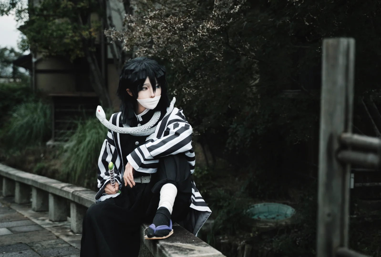 金陵青年文化博览会自由行申请需30个赞