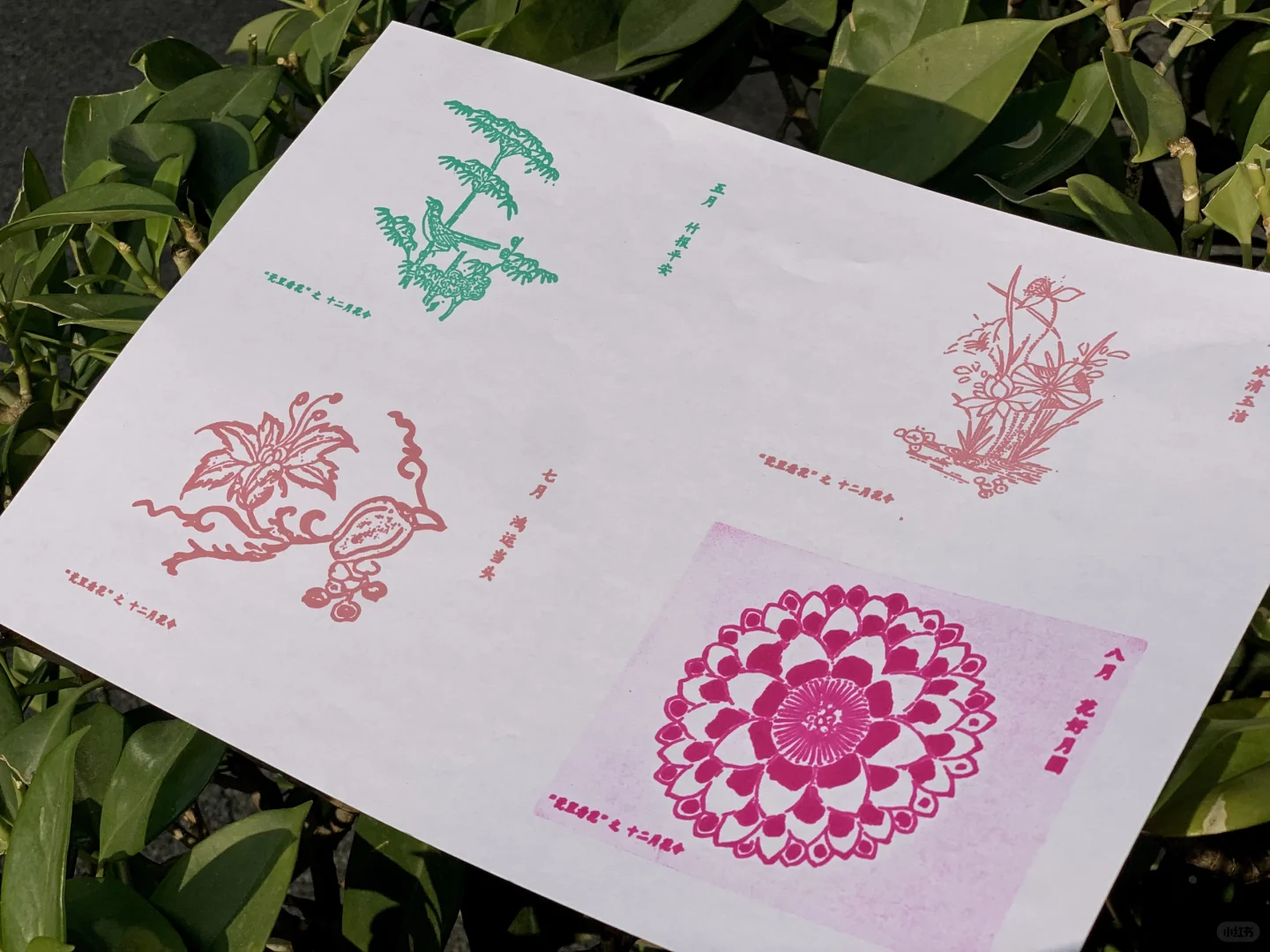 东莞最近又多了一个新的打卡点了！