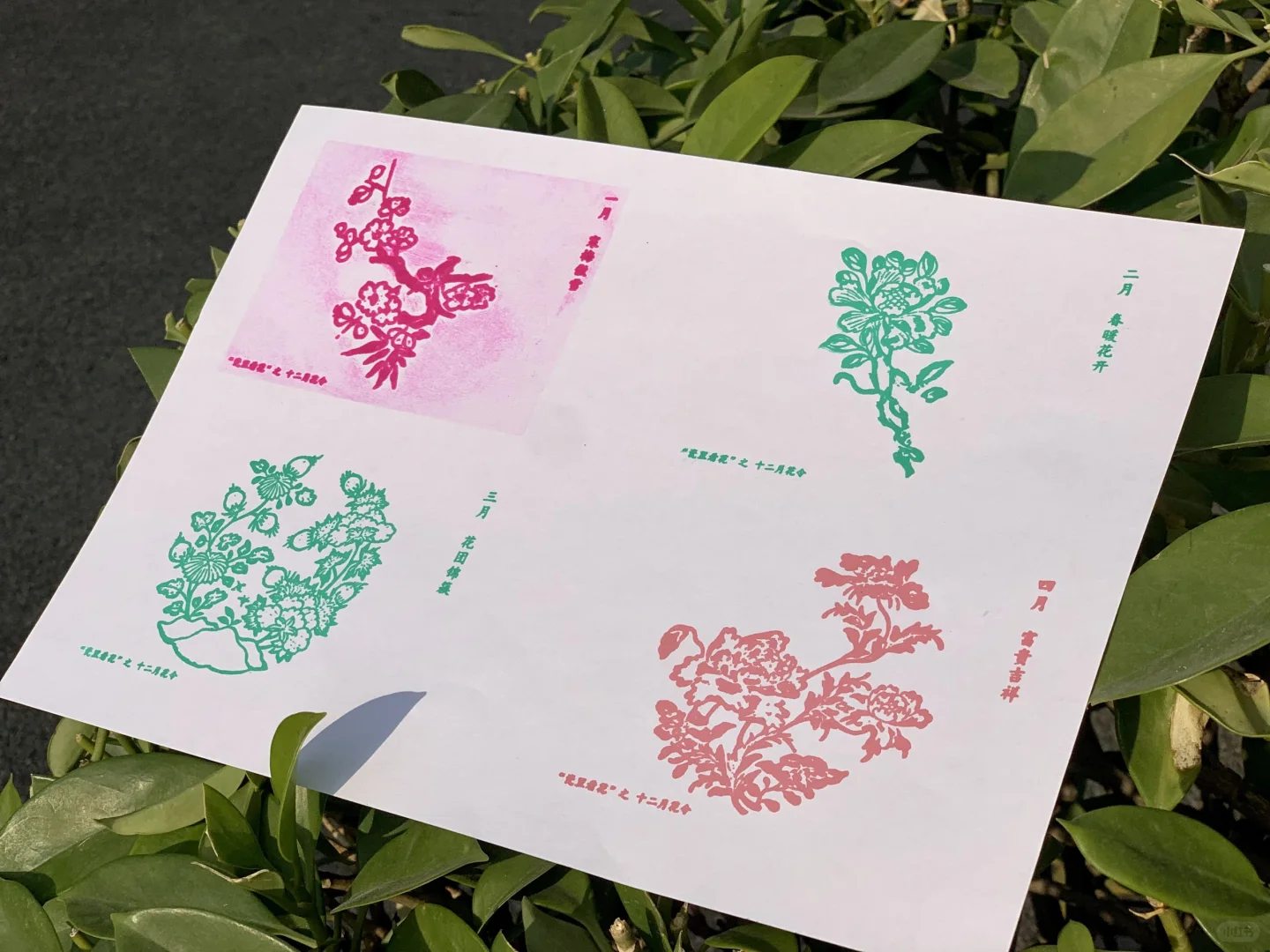 东莞最近又多了一个新的打卡点了！