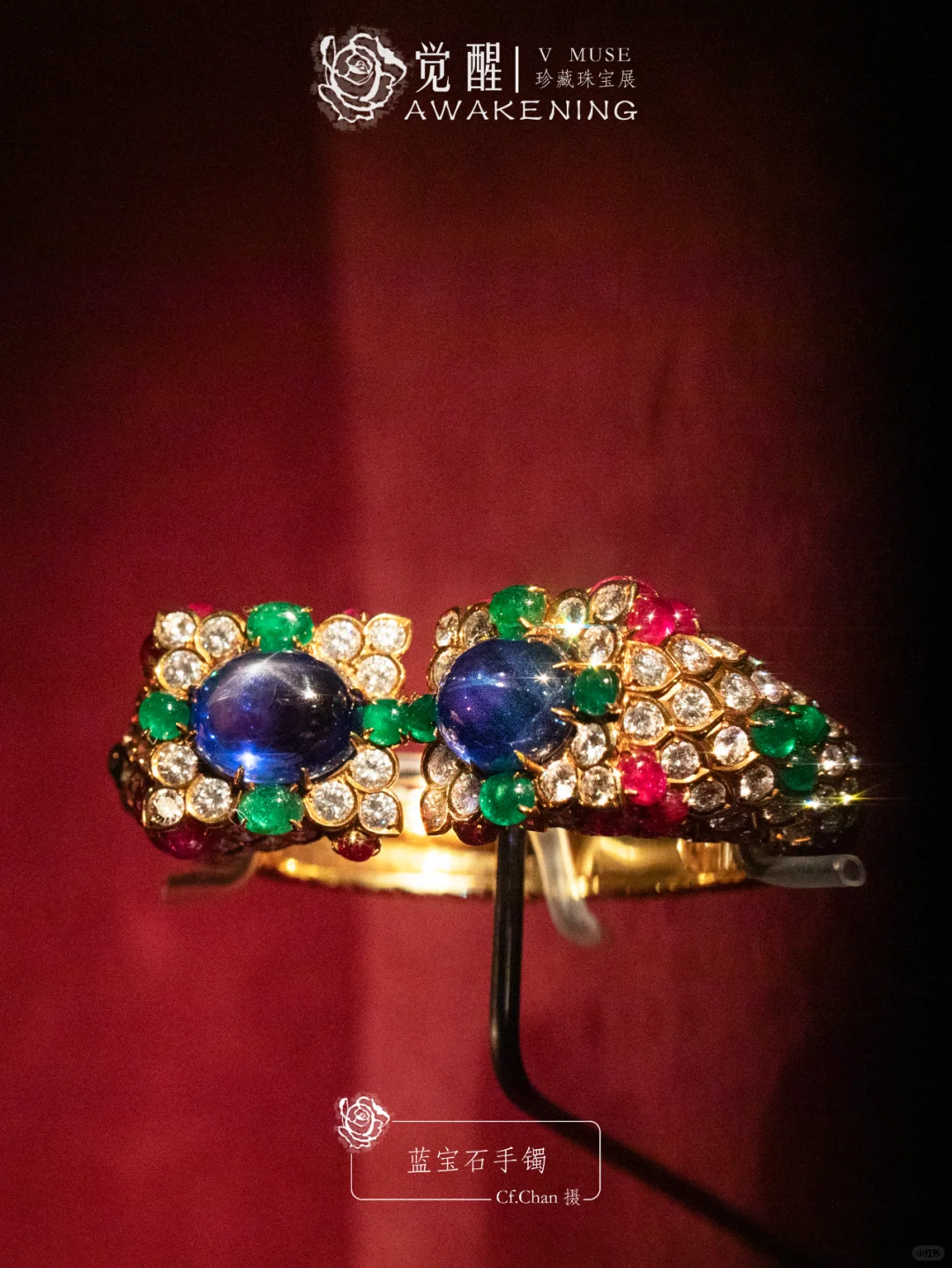 上海展览|又掉到珠宝展的窝里！觉醒珠宝展
