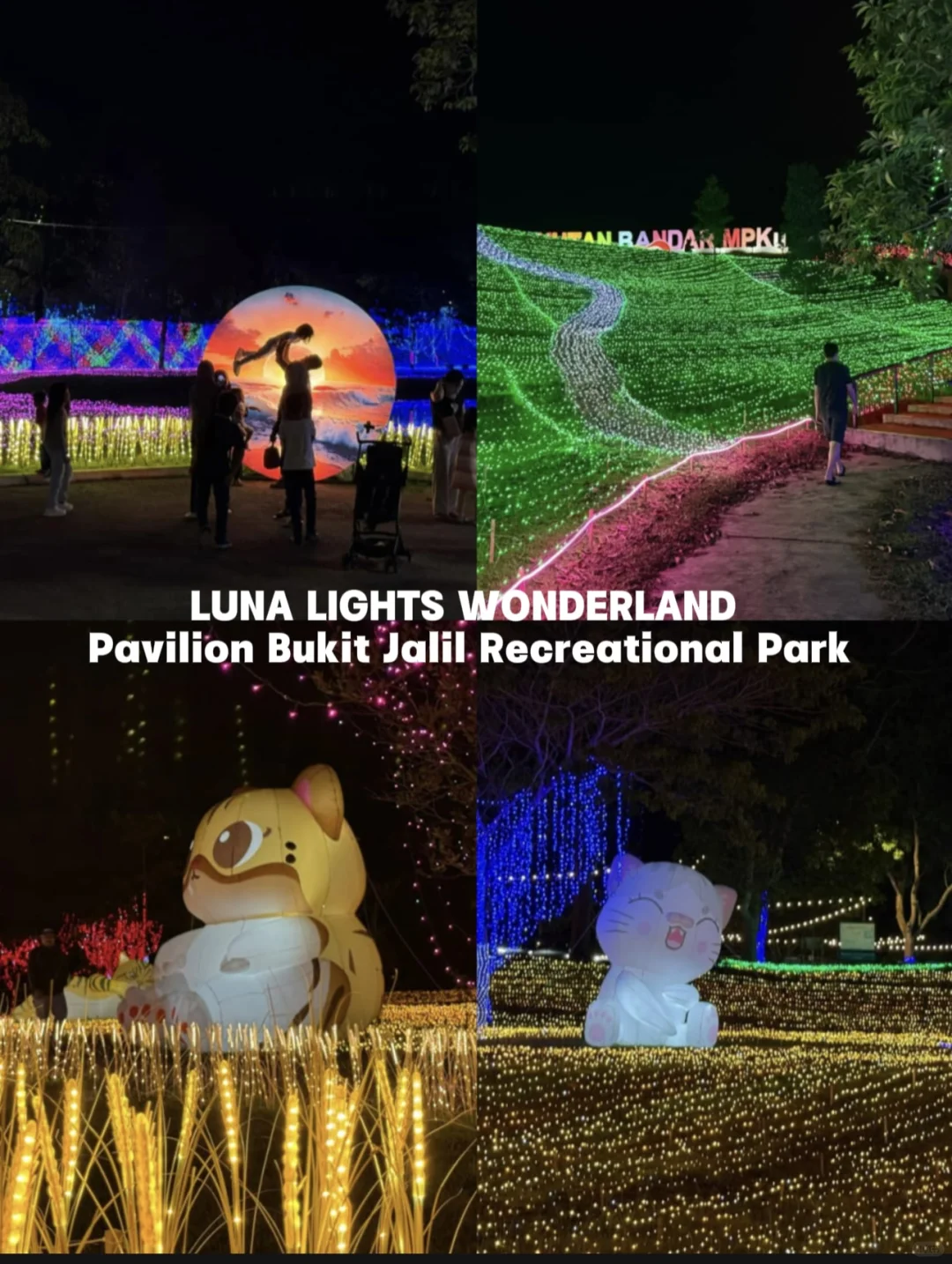 ??IFOODEXPO来了！这次巨多活动的