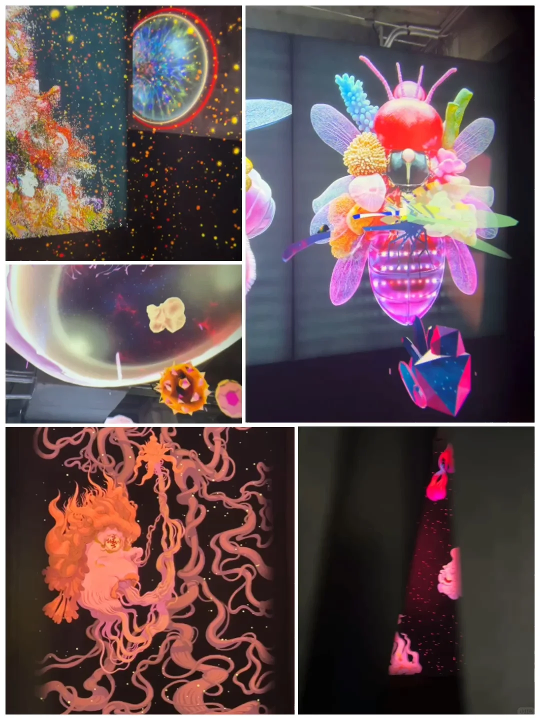 沉浸式艺术空间，带你走进梦幻般的艺术世界！