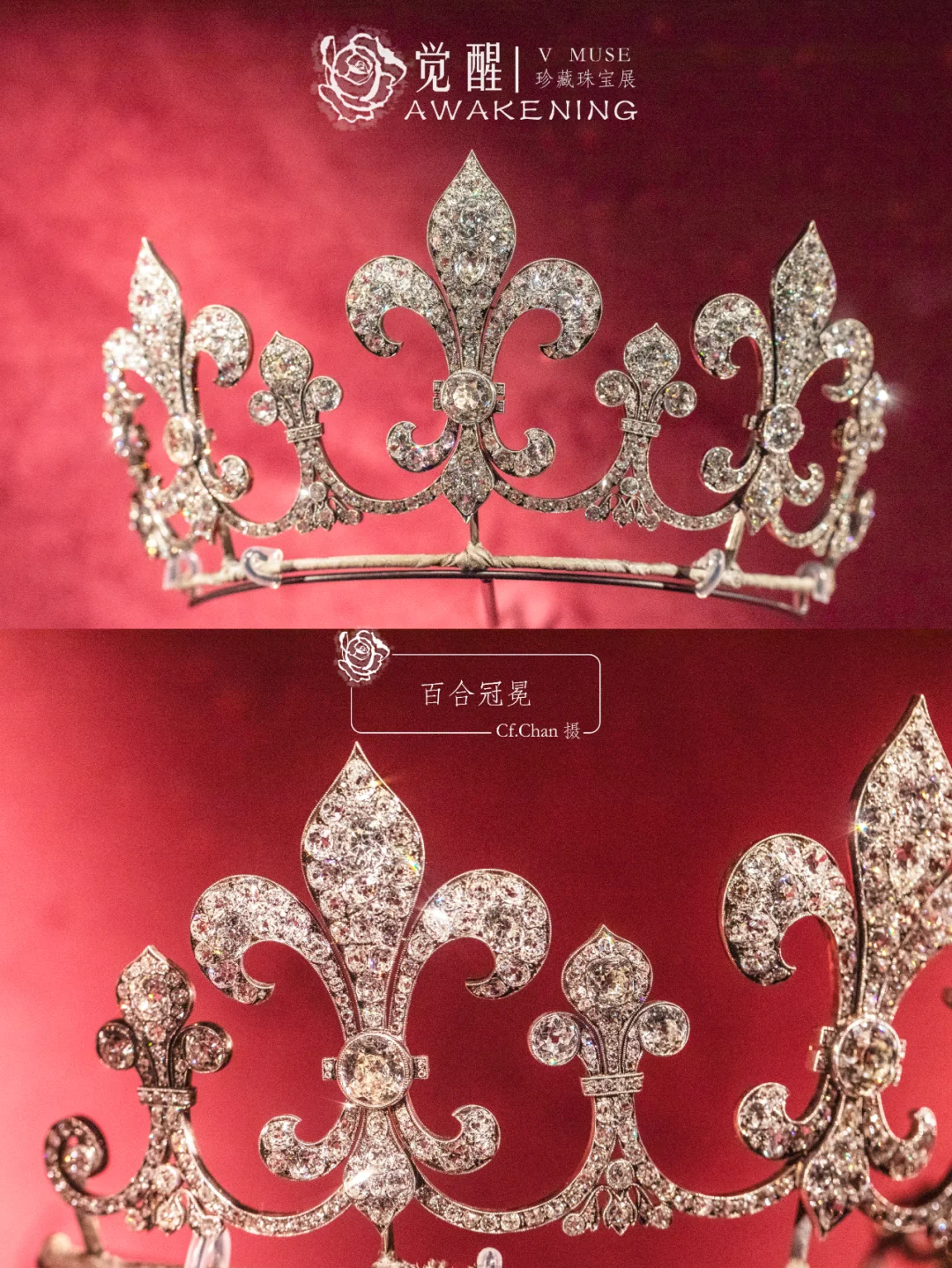 上海展览|又掉到珠宝展的窝里！觉醒珠宝展