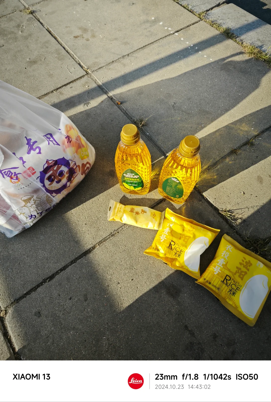 就在沈阳，明天最后一天