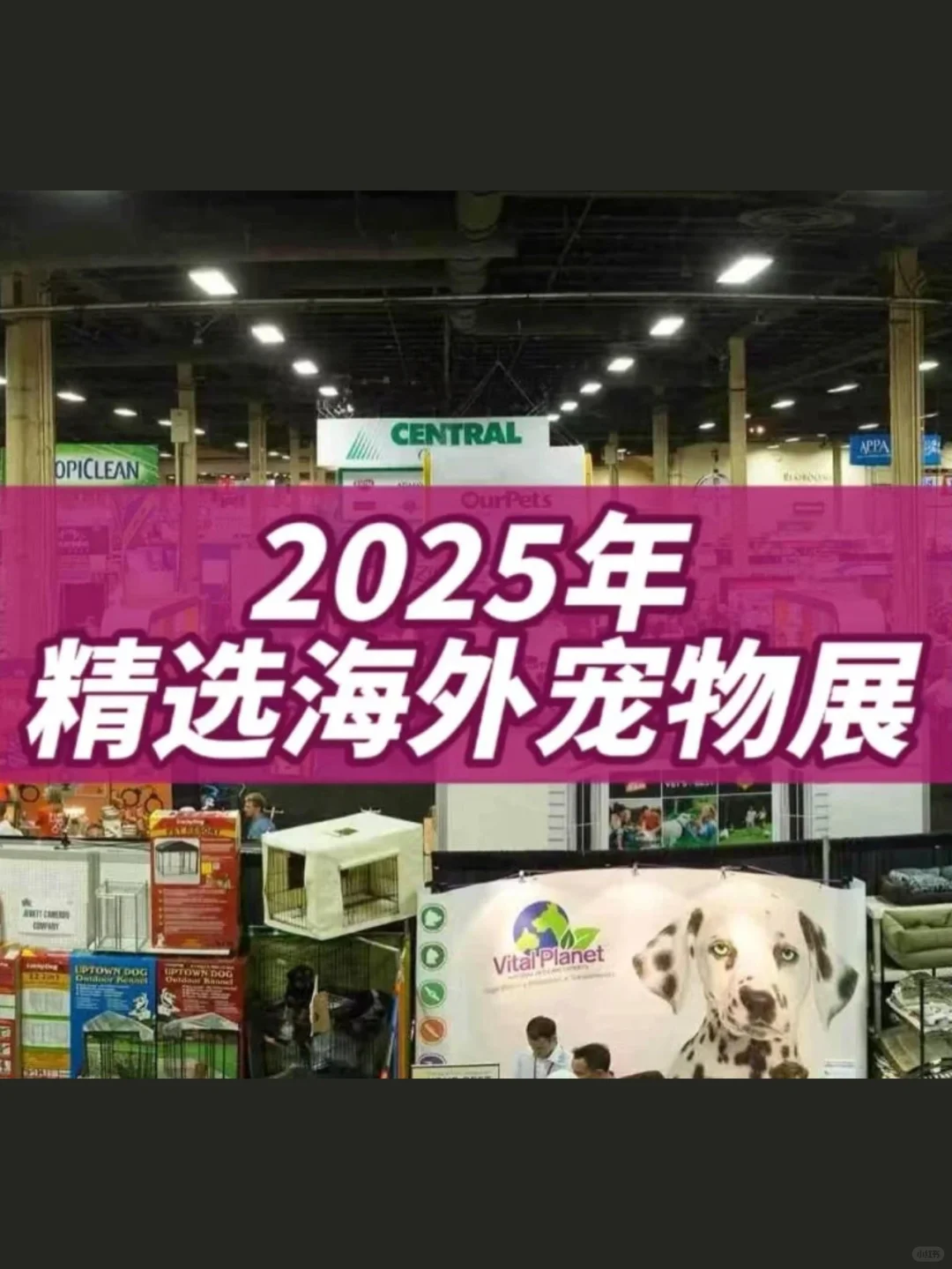 2025年十大优质海外宠物展会推荐