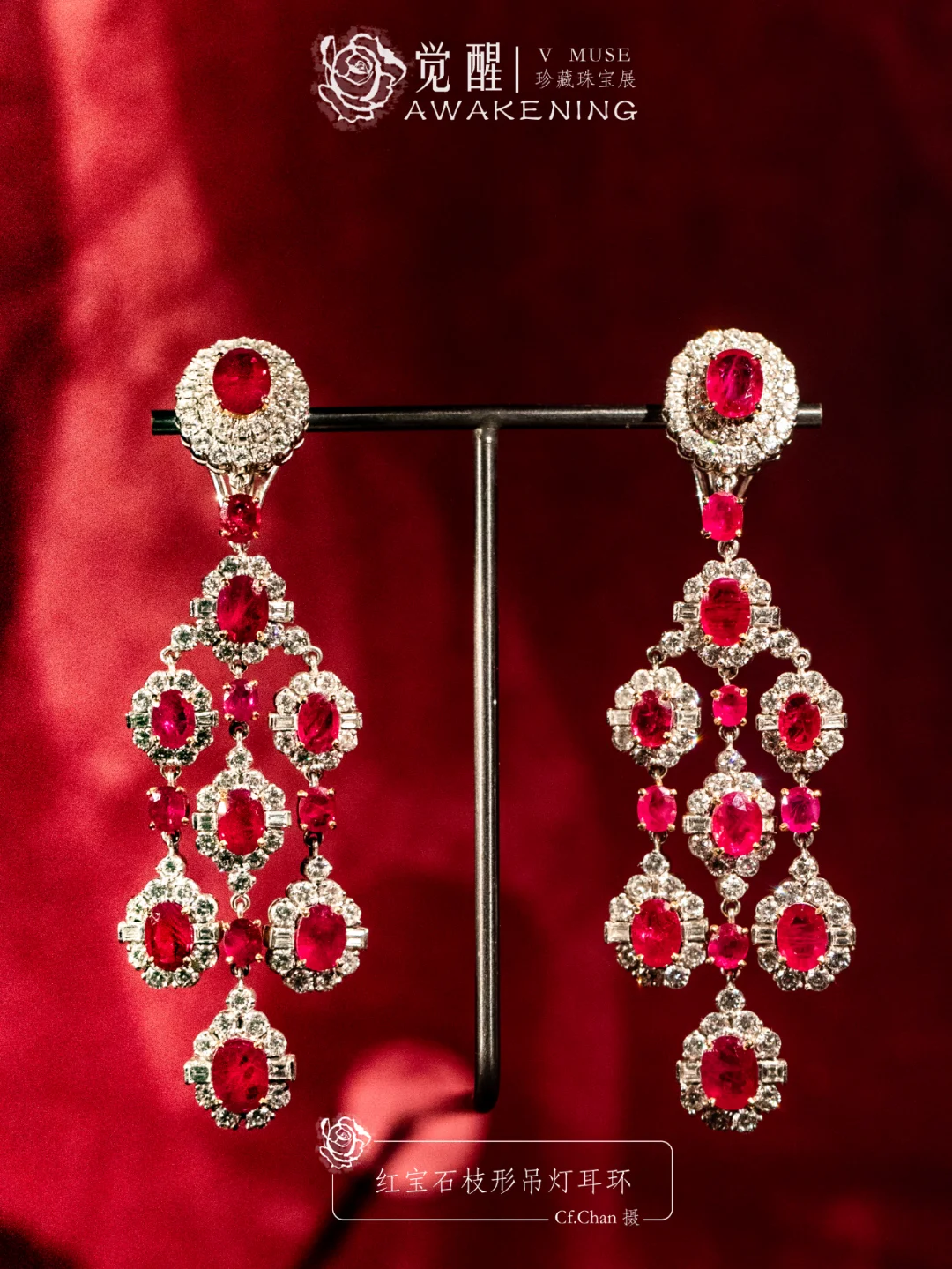 上海展览|又掉到珠宝展的窝里！觉醒珠宝展