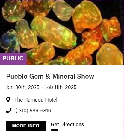 2025图森展|有哪些展会适合化石爱好者呢?