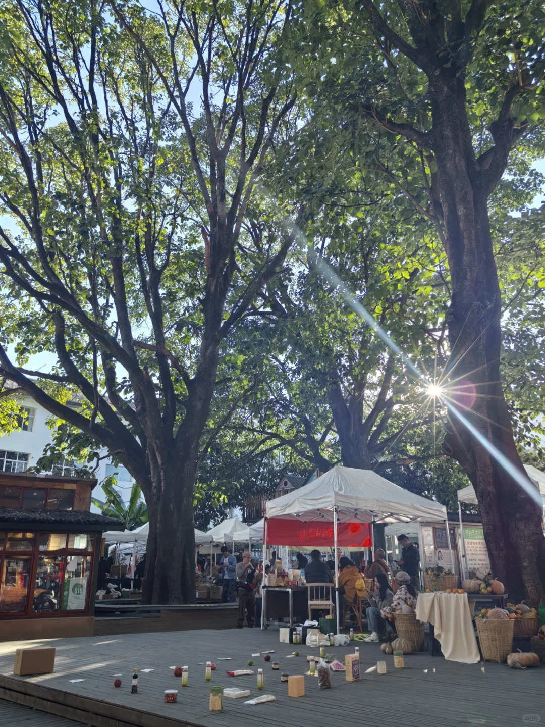 开在大理的生态有机农场品云南博览会