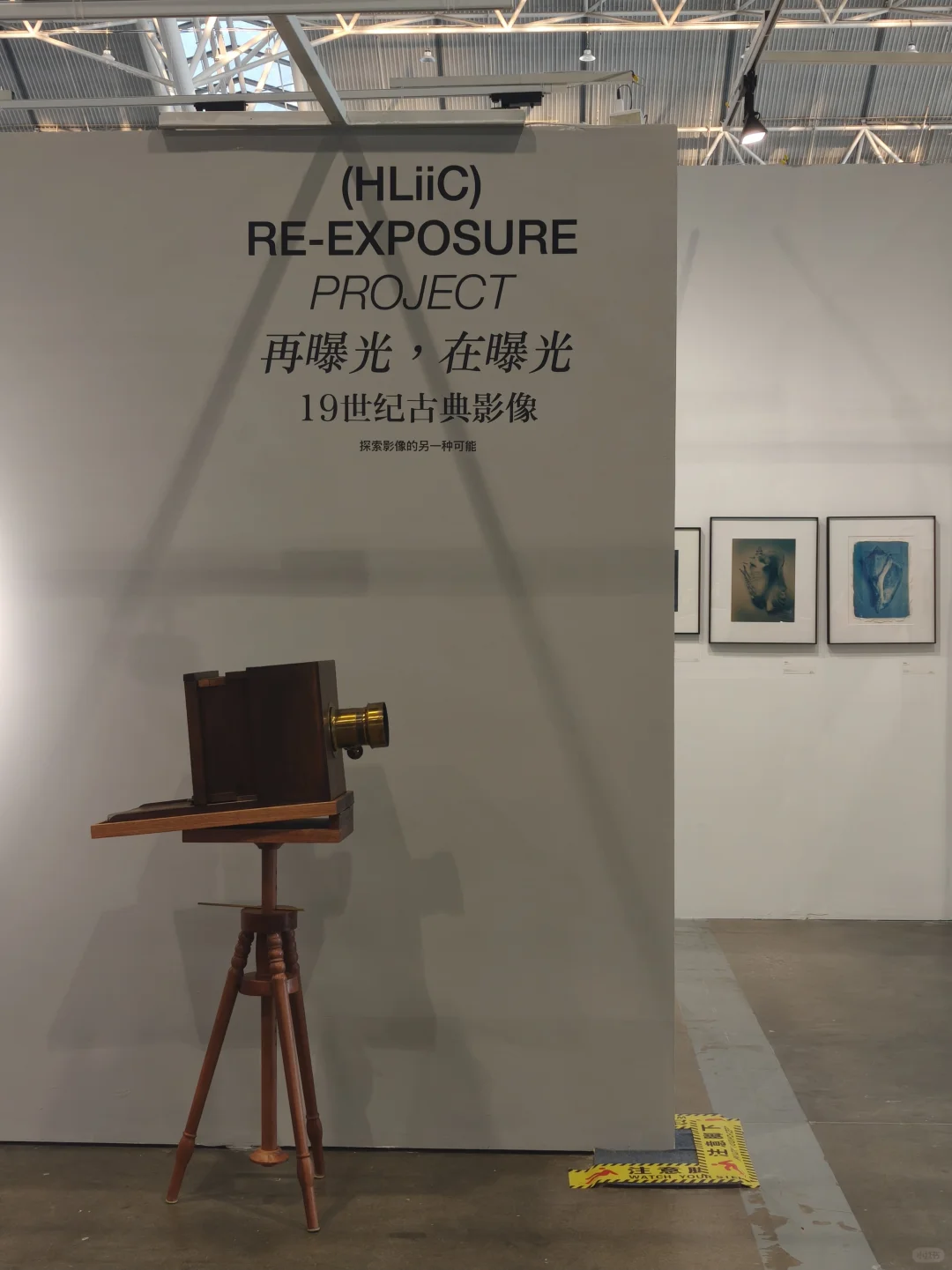 一个人逛 南京2024国际艺术博览会