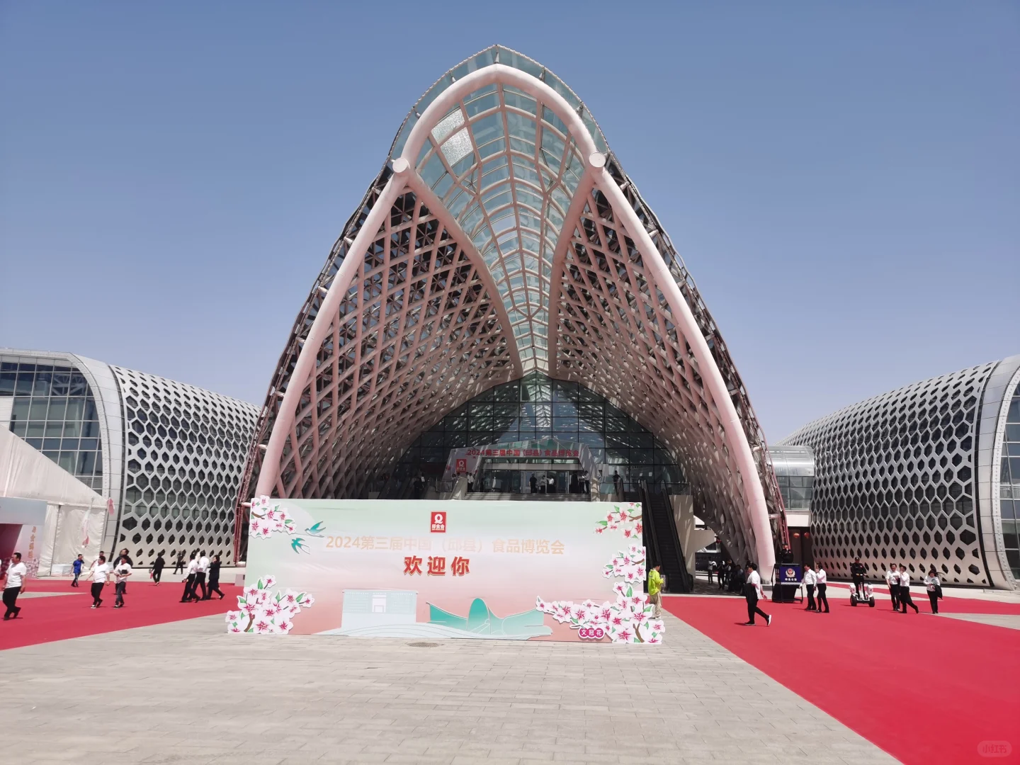 竹林墨客：2024年邱县食品博览会