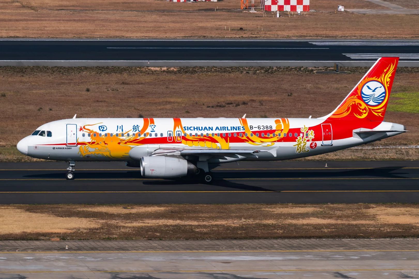 厦门两天半能看到哪些彩绘