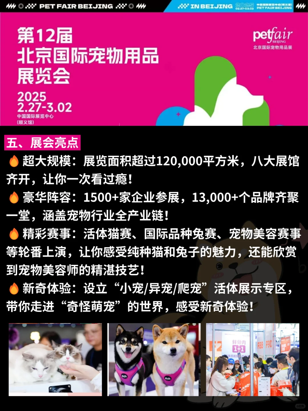 刷到了吗！2025北京宠物展门票免费啦❗️