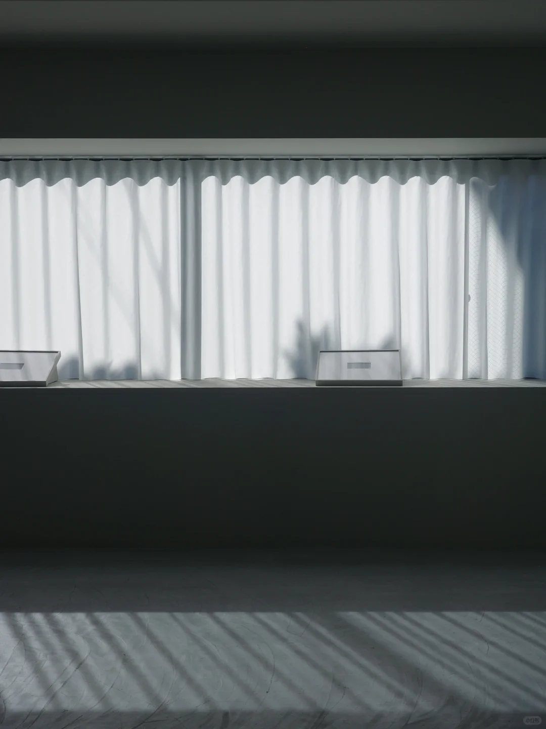 东京｜一连看了川内伦子和滨田英明的个展?。